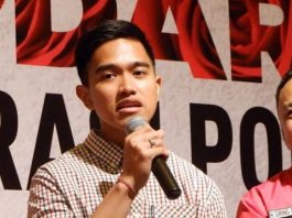 Kaesang Pangarep