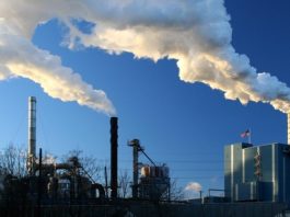 Insiden Kebocoran Gas Terjadi di Pabrik Asam PT Merdeka Tsingshan Indonesia