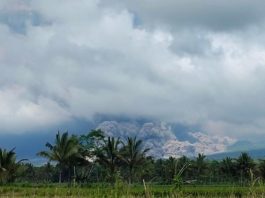Gunung Semeru Erupsi